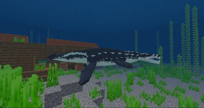 Лиоплевродон плавает в воде