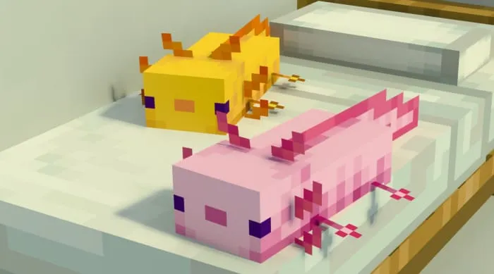 Розовый и золотой аксолотль