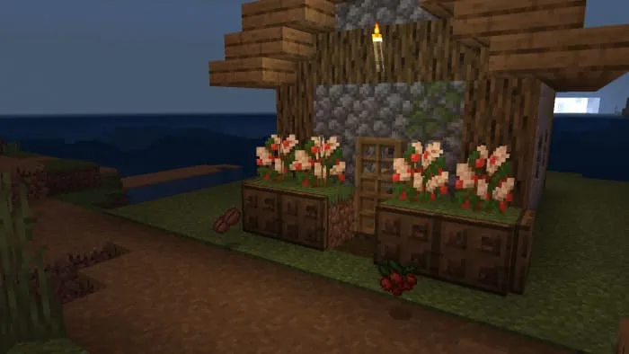 Дом и куст кофейных ягод