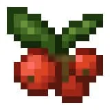 Вид кофейных ягод