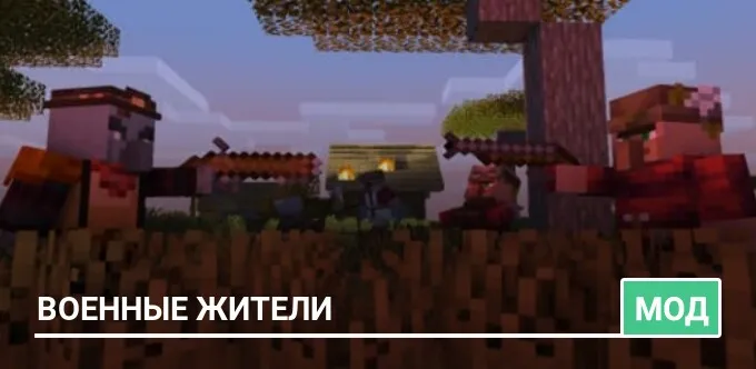 Mod: Villager Soldier