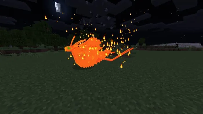 Феникс ночью