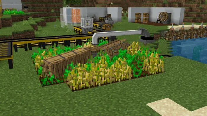 Ферма с комбайном