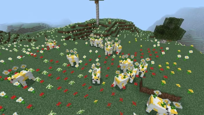 Корова с нивяником