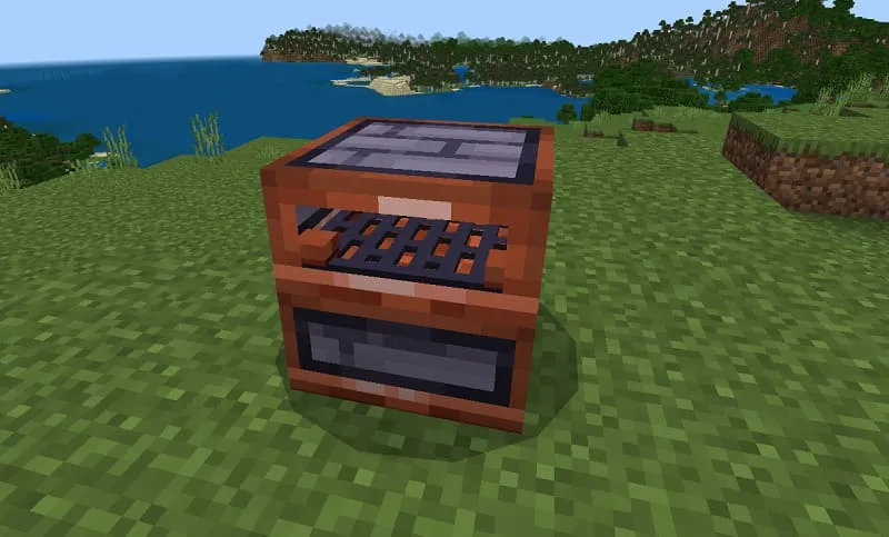 Вид медной печки