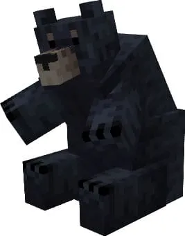 Вид черного медведя