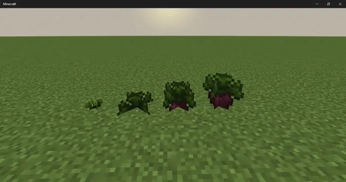 Гизальское растение