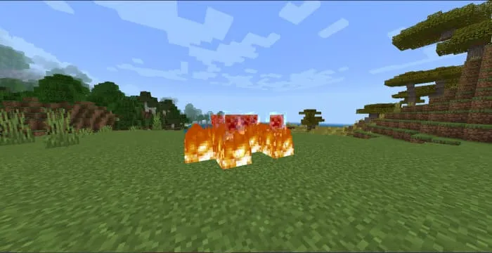 Огонь в мире