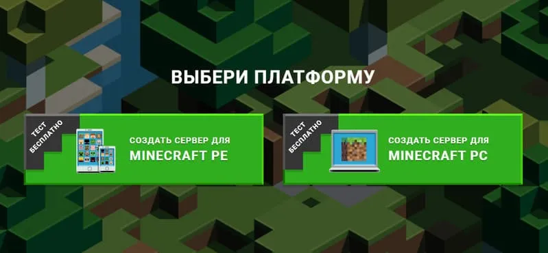 Скриншот хостинга серверов mcpehost