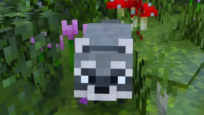 Лицо енота в Майнкрафт