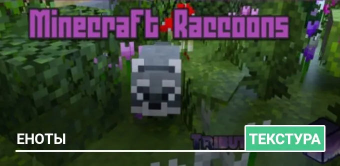 Текстуры: Еноты