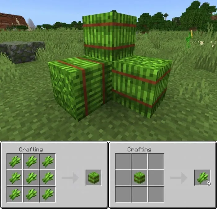 Крафт тюка сахарного тростника