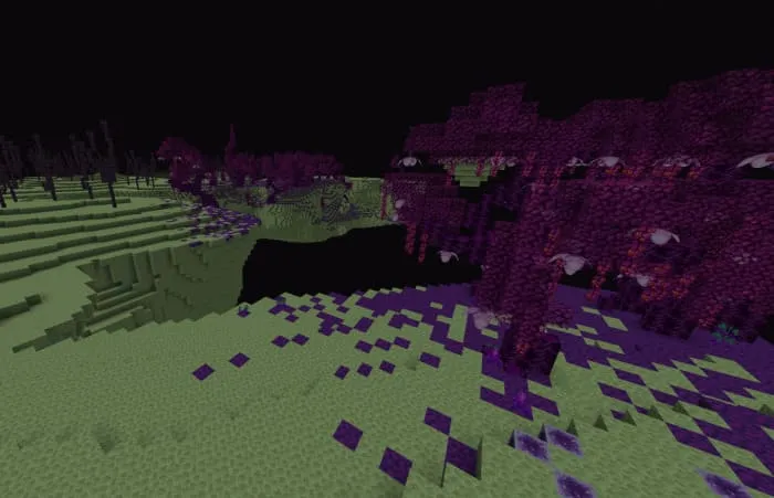 Вид леса Края