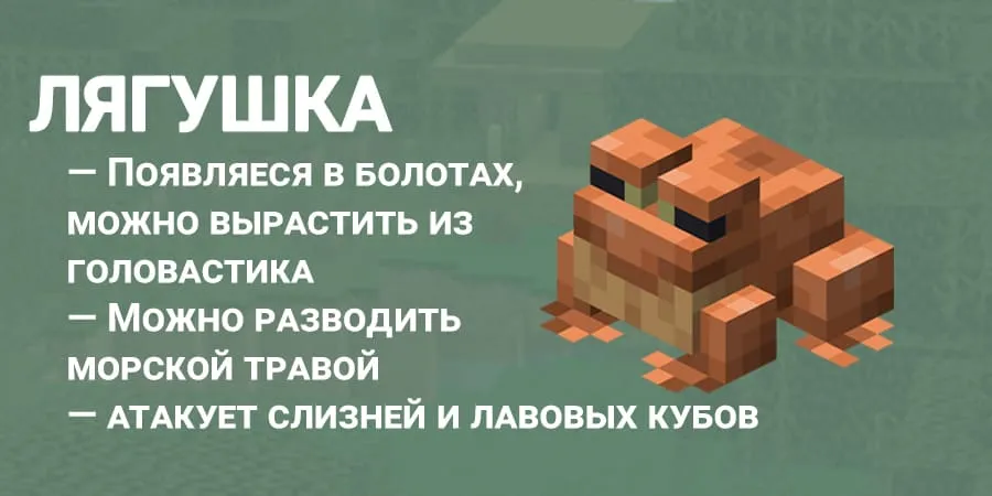 Описание Лягушки из Майнкрафта