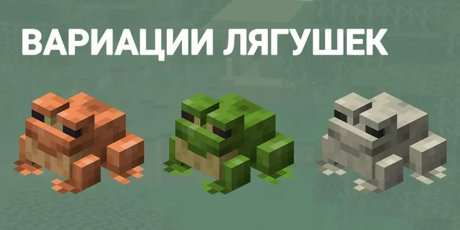 Три вида лягушек