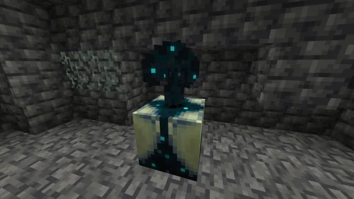 Вид катализатора души