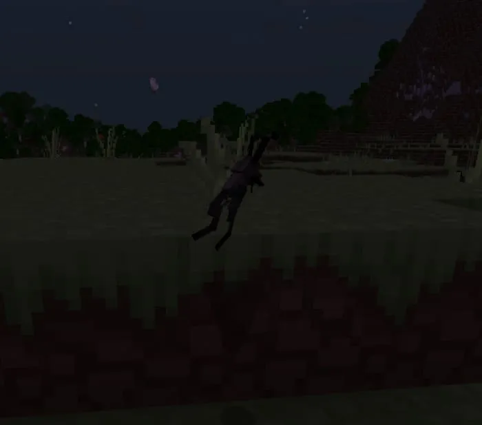 Сверчок ночью