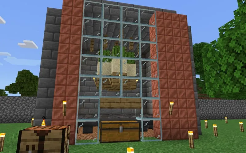 Ферма с кактусами