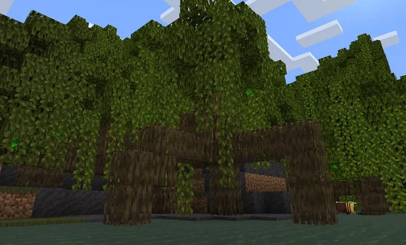 Биом Мангрового болота в Майнкрафт