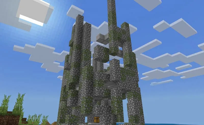 Ruins of the battle tower