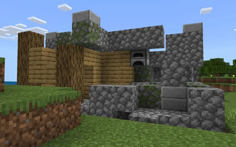 Old ruins of the house