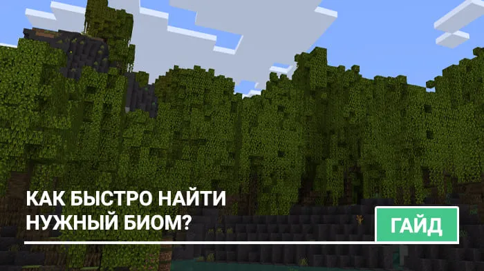 Как быстро найти биом в Майнкрафт?