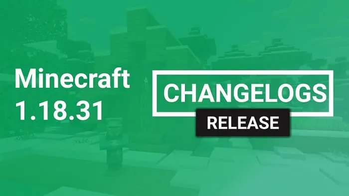 Minecraft 1.18.31