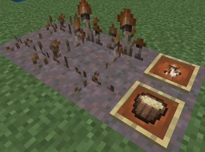 Новые грибы