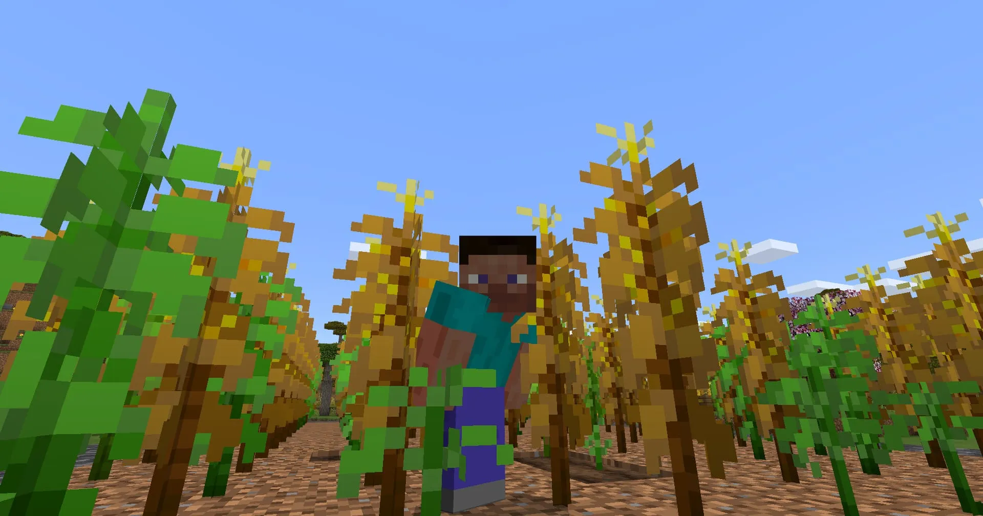 Игрок и урожай