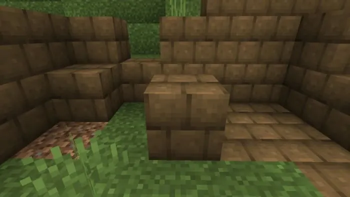 Вид грязевых кирпичей