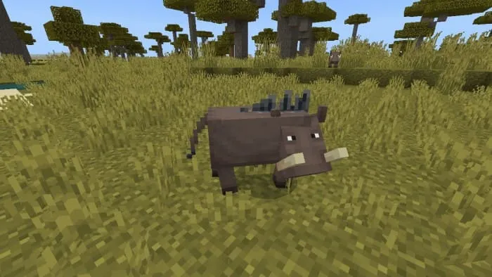 Бородавочник