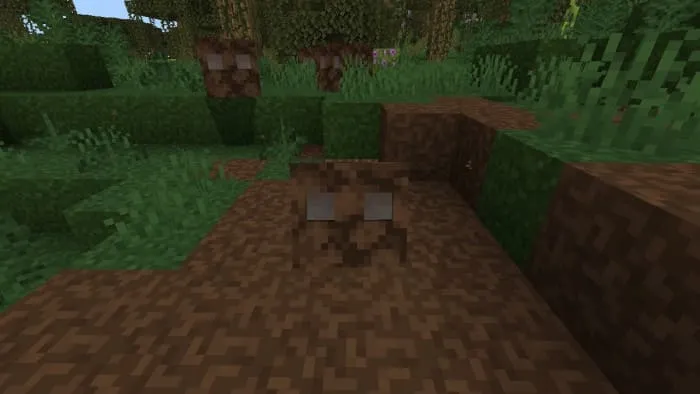 Грязевой куб