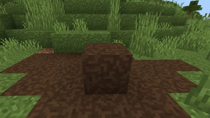 Вид блока почвы