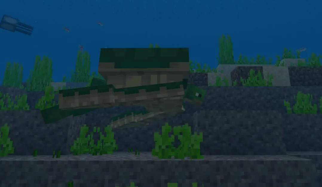 Гигантская черепаха плывет