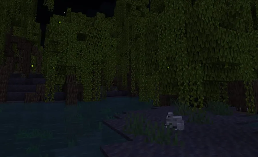 Лягушка и светлячки ночью