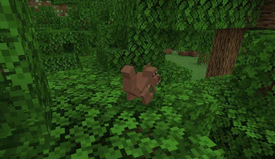 Белка на дереве