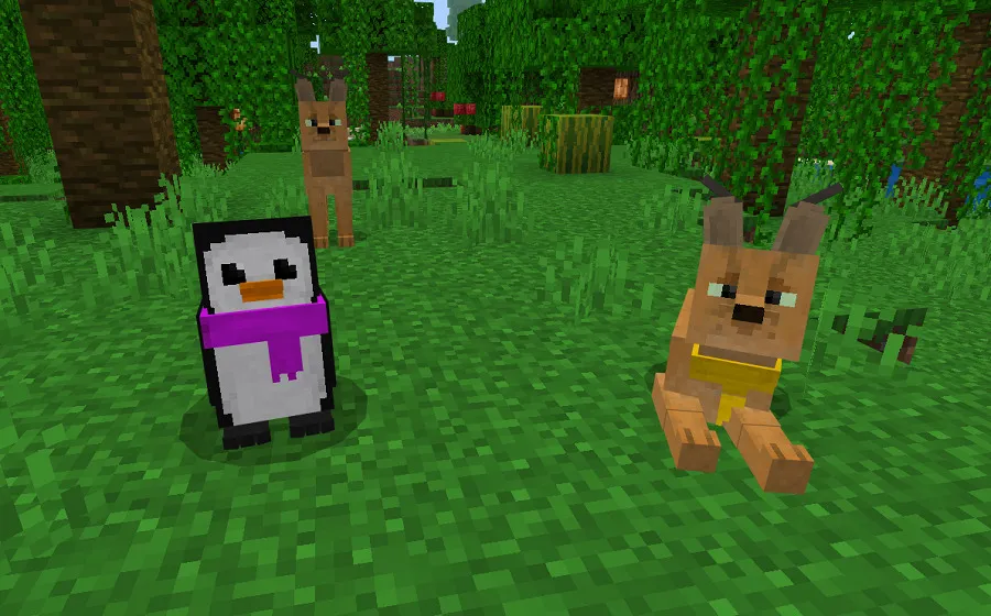 Пингвин и Каракал с шарфами