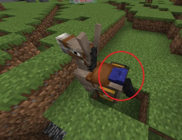 Осел с сумкой