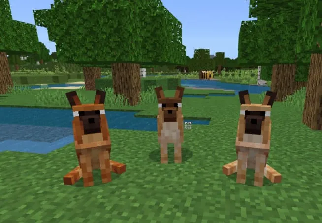 Немецкая овчарка