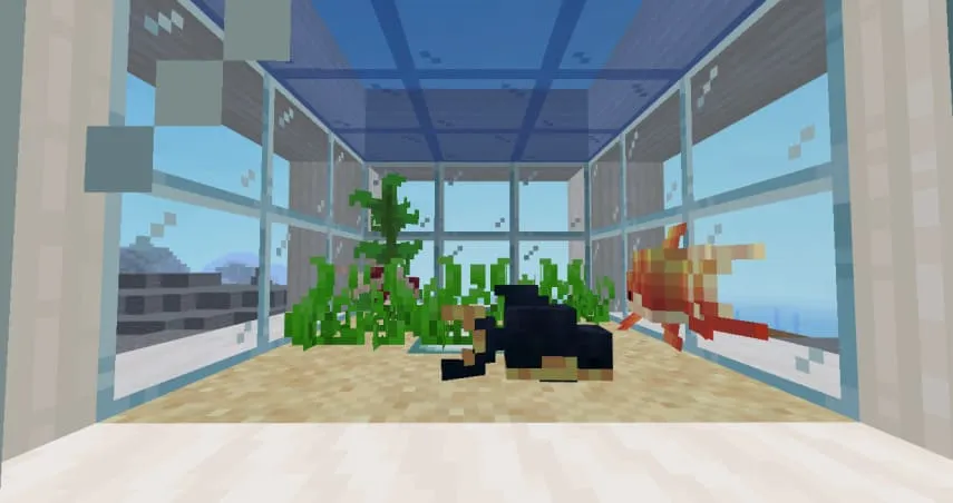 золотые рыбки