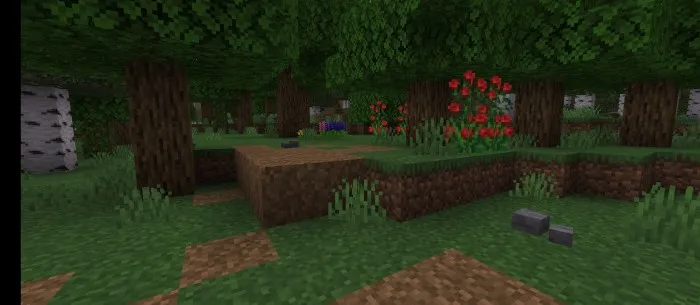 Цветы и камни