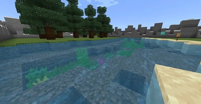 Уровень с водой