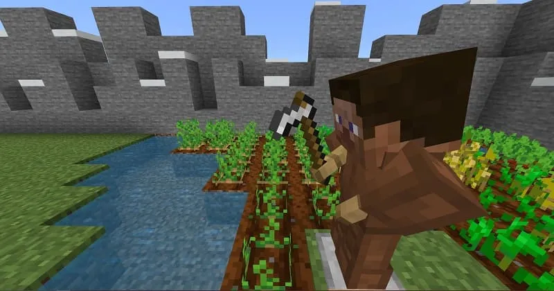 Уровень со Стивом и мотыгой