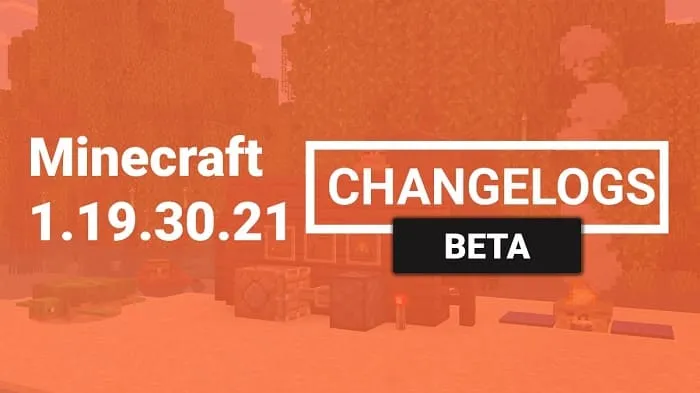 Minecraft 1.19.30.21
