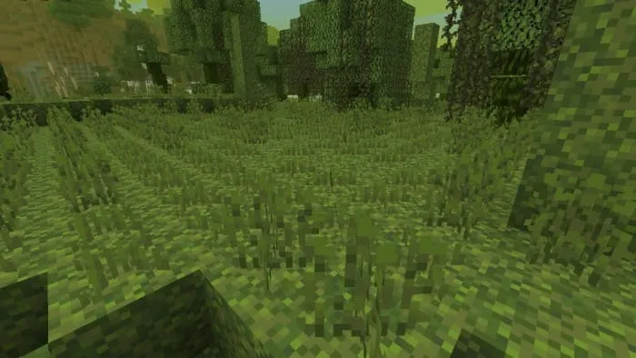 Мшистый росток