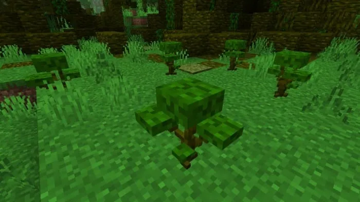 Заросшее джунглевое растение