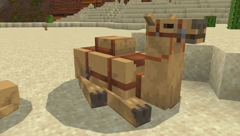 Верблюд и седло