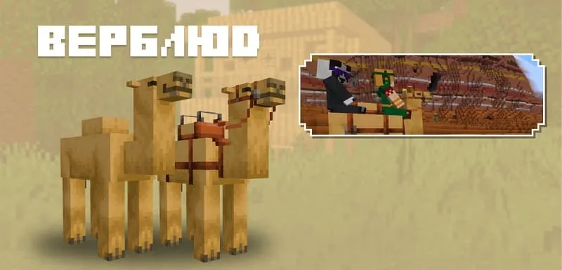 Верблюд в Майнкрафт 1.19.50.21