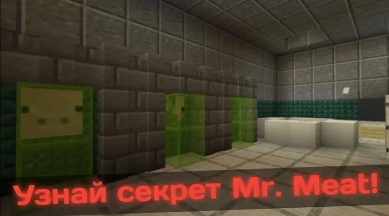 Секреты Мистера Мита