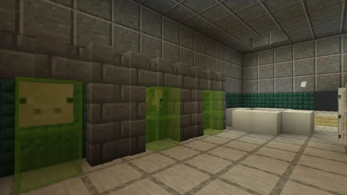 Basement of the house